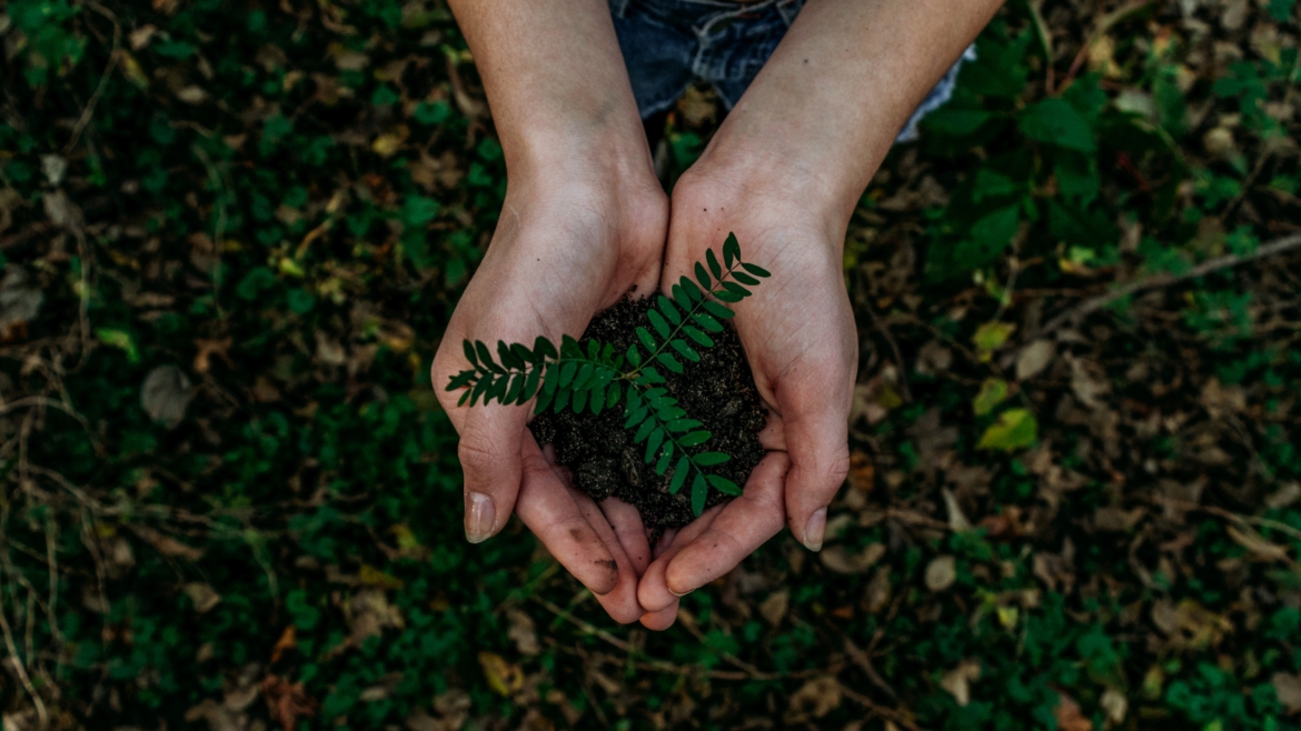 Der Ruf der Natur: Warum Umweltschutz uns alle angeht