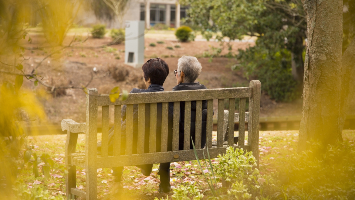 Senior*innen – Spaziergang & Basteln